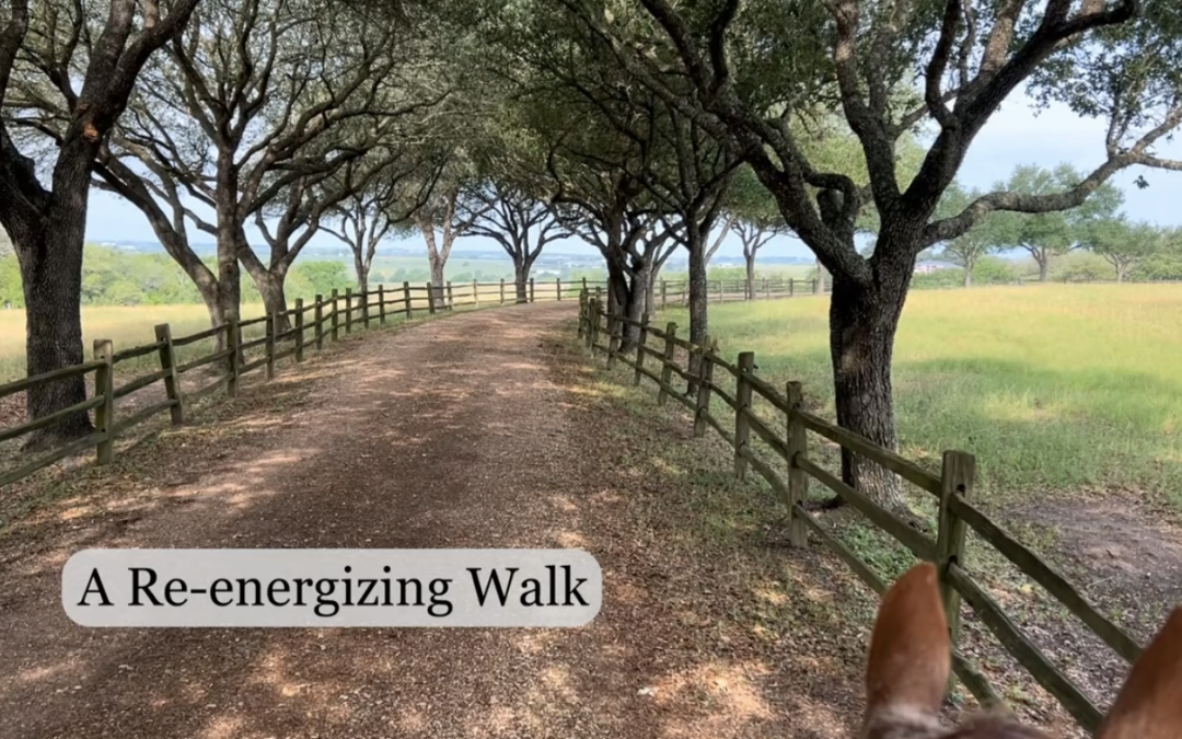Rejuvenation – The Power of Recovering Energy (Easy to Skip Over) – A Re-energizing Walk